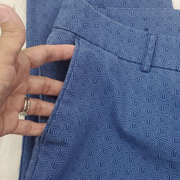 Hilary Radley Blue Combo Cropped Pants Size 14 - Picture 5 of 17